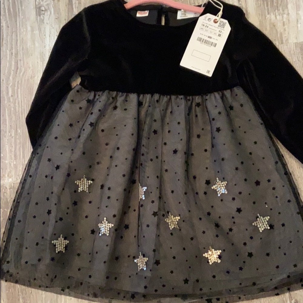 Zara Baby 18-24 month Velvet and Tulle Dress